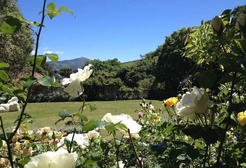 مبيت وإفطار Blythcliffe