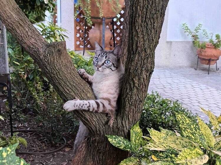 민박 Casa De Sao Domingos