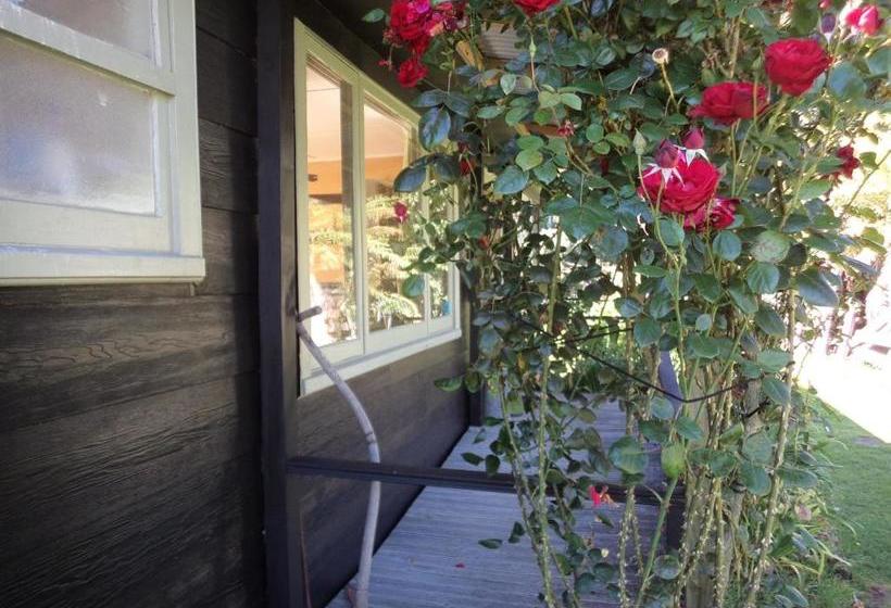 مبيت وإفطار Earthsounds Country Cottage