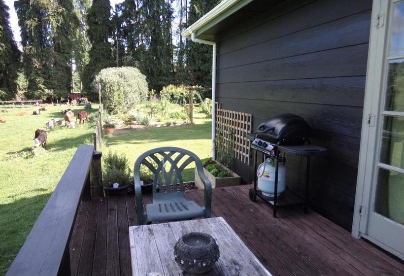 مبيت وإفطار Earthsounds Country Cottage