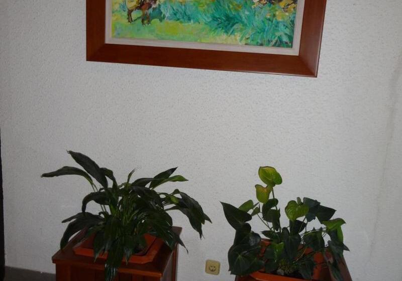 住宿加早餐  Estalagem Sequeira