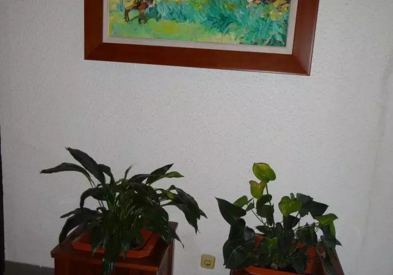 Aamiaismajoitus (B&B) Estalagem Sequeira