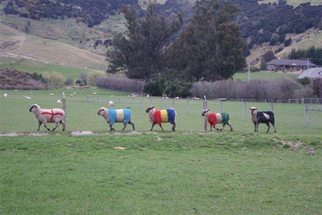 مبيت وإفطار Silver Peaks Lodge