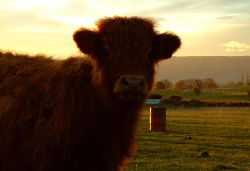 مبيت وإفطار Silver Peaks Lodge