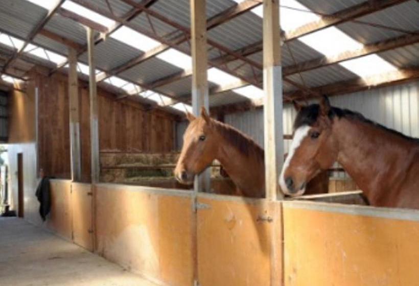 مبيت وإفطار Silver Peaks Lodge