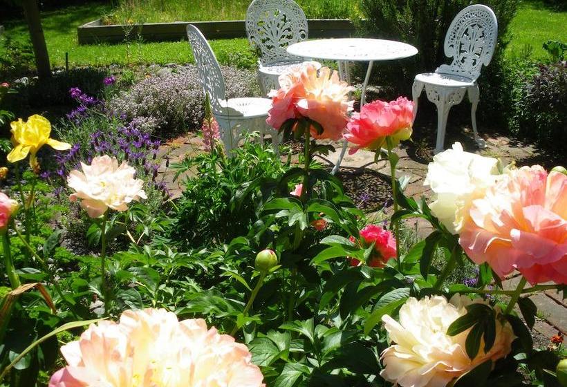 مبيت وإفطار The Saddlery