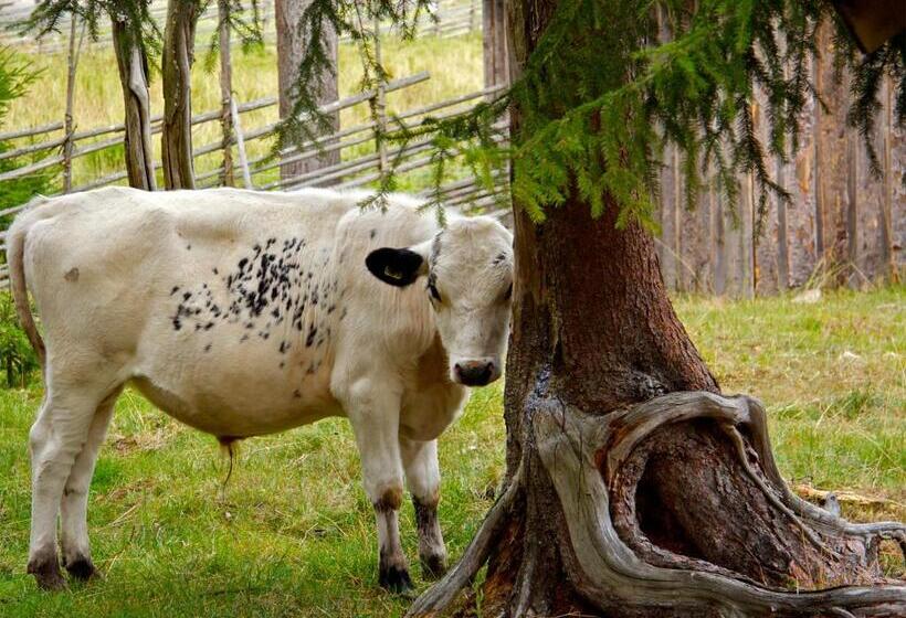 Gaffelbyn   Sundsvalls Vandrarhem