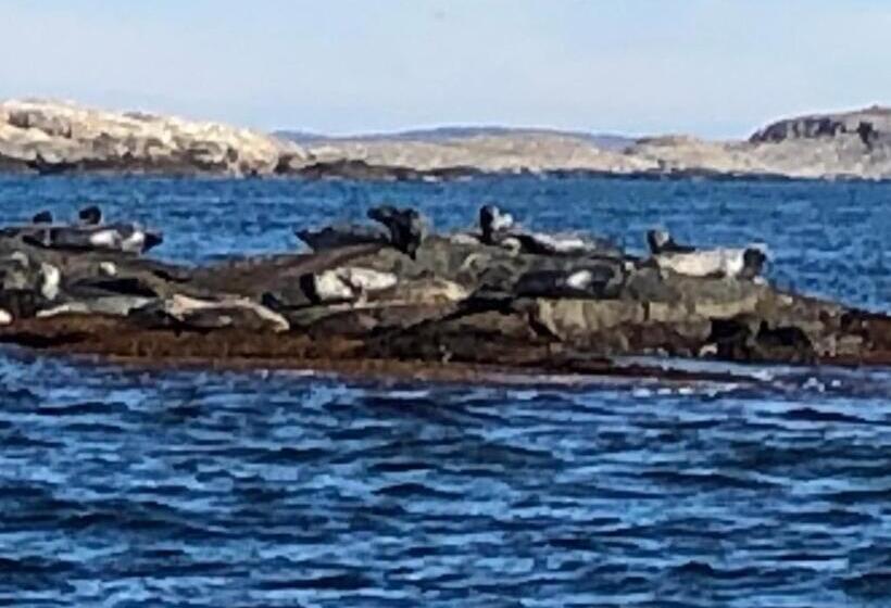 Hotelli Marinan Richters