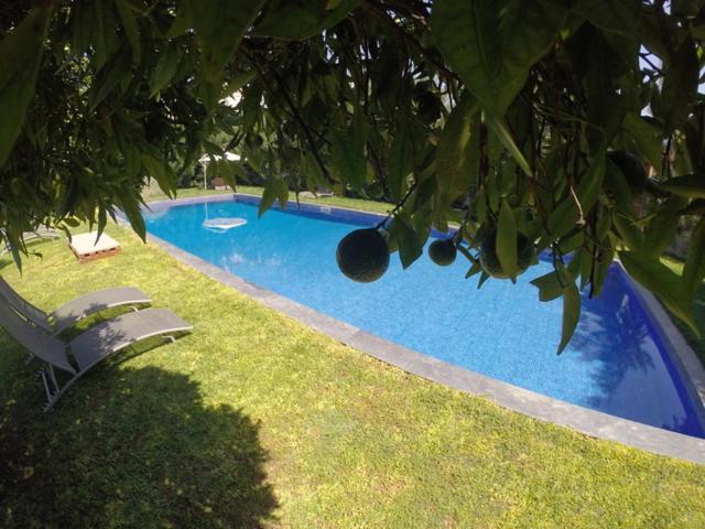 هتل Palacete Da Real Companhia Do Cacau Royal Cocoa Palace