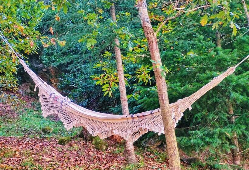 酒店 Paço De Vilharigues