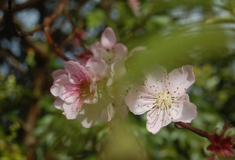 Мотель Gateway Motor Lodge Wanganui