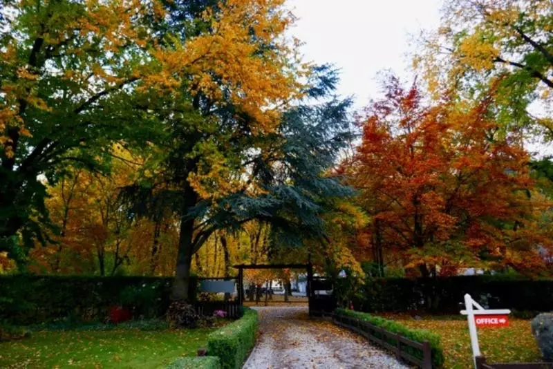 モーテル Shades Of Arrowtown