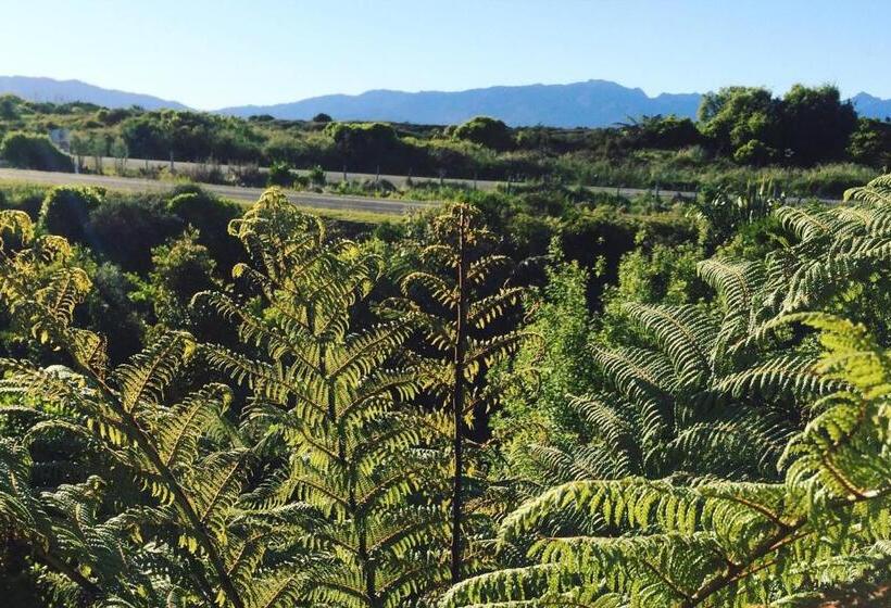 Omau Settlers Lodge Motel