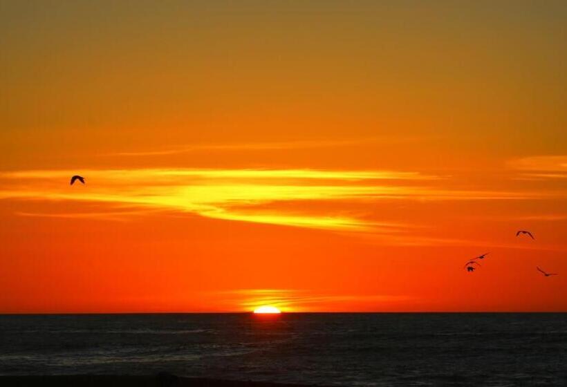 Punakaiki Beach Hostel