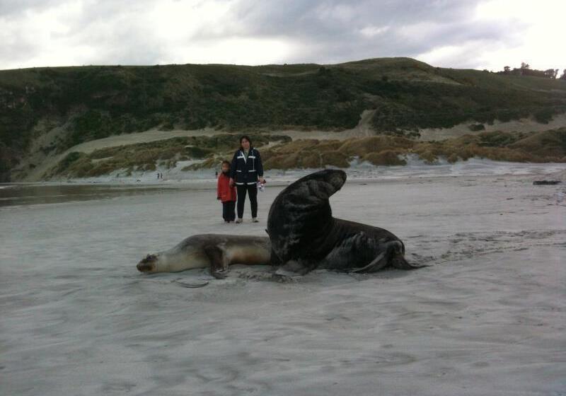 Stafford Gables Hostel