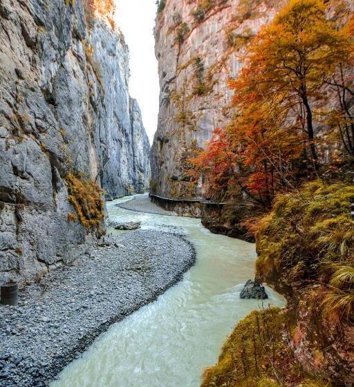 旅馆 Restaurant Urweider