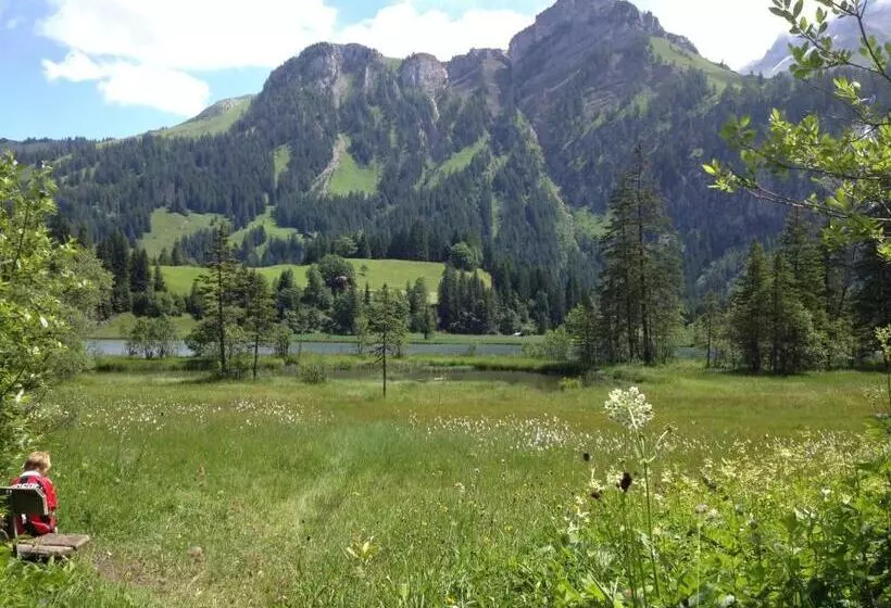 B&b Panorama