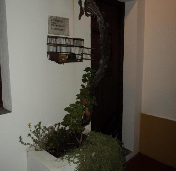 مبيت وإفطار Alojamento Pero Rodrigues