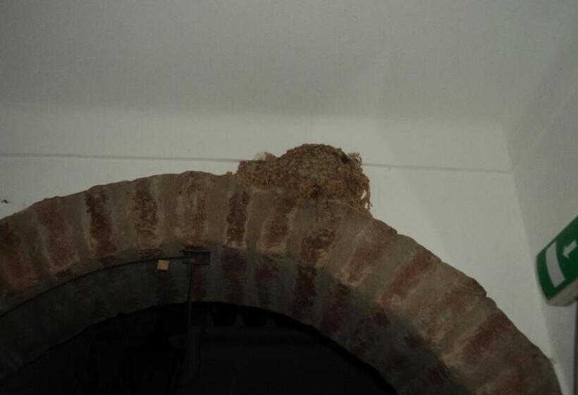 مبيت وإفطار Alojamento Pero Rodrigues