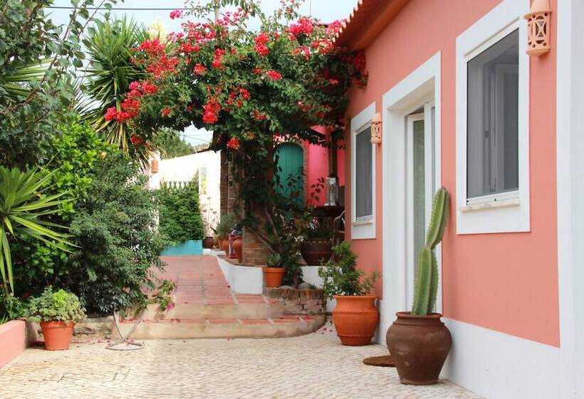 Bed and Breakfast Casa Spa D Alma