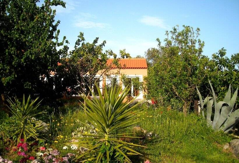 Bed and Breakfast Casa Spa D Alma