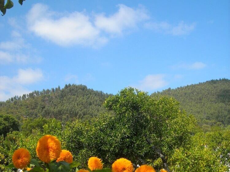 Bed and Breakfast Casa Spa D Alma