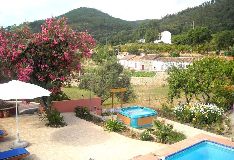 Bed and Breakfast Casa Spa D Alma