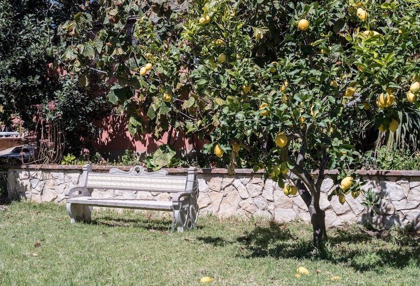 Bed and Breakfast Casa Spa D Alma