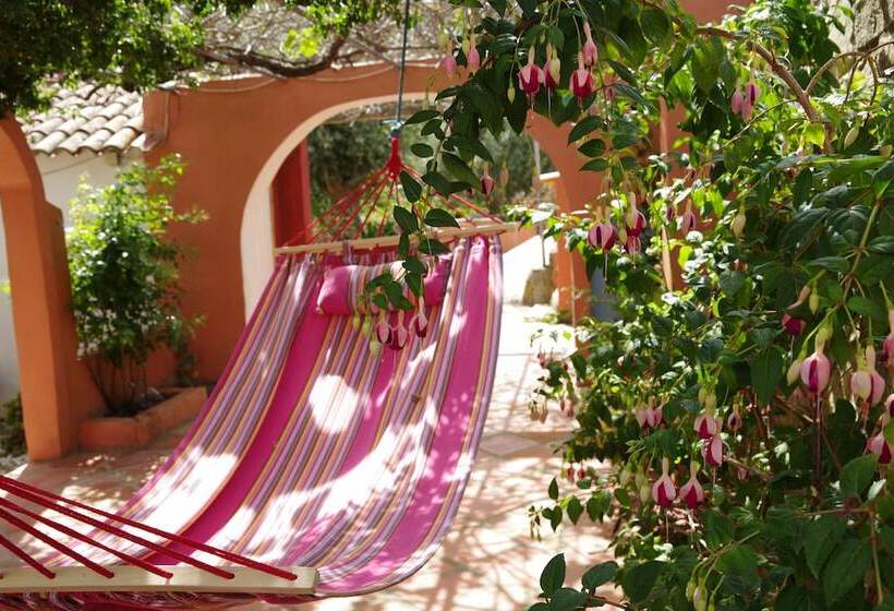 Bed and Breakfast Casa Spa D Alma