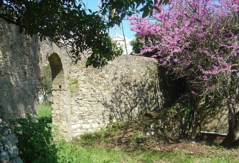 تختخواب و صبحانه Quinta Do Scoto