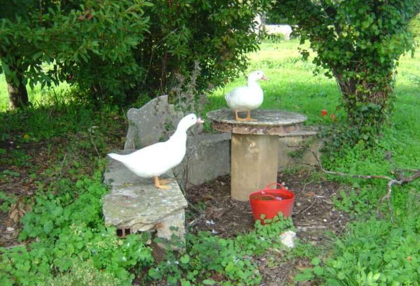 تختخواب و صبحانه Quinta Do Scoto