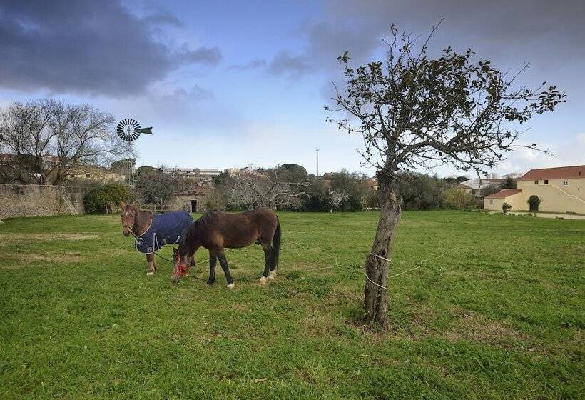 تختخواب و صبحانه Quinta Do Scoto