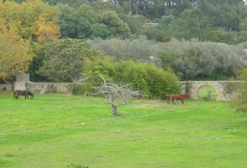 تختخواب و صبحانه Quinta Do Scoto