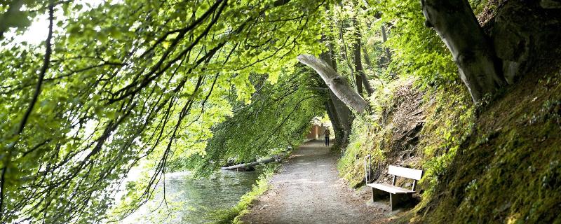 בית מלון כפרי Seaside