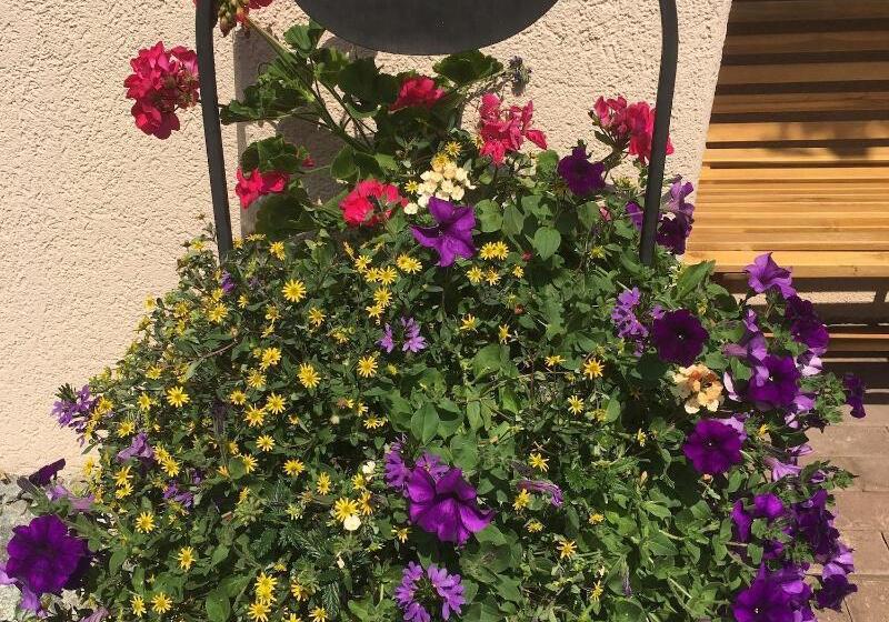 호텔 B&b Casa La Val