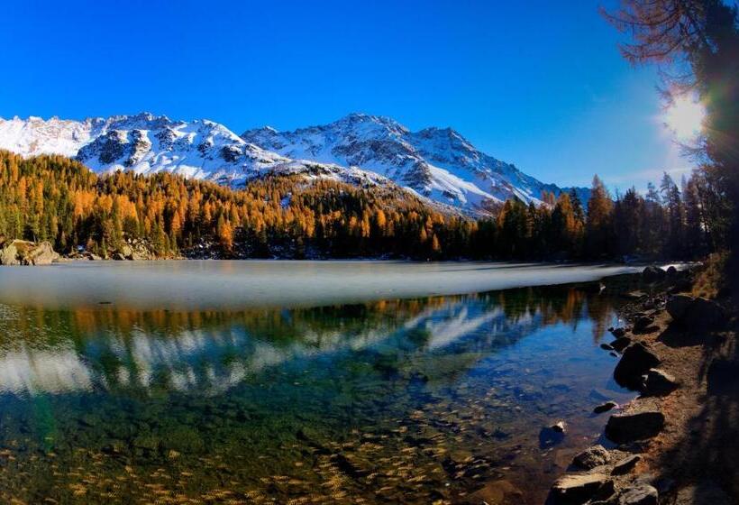 هتل Centrale, Typically Swiss