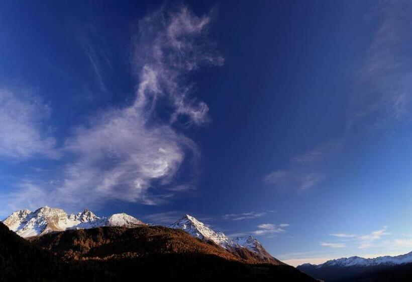 هتل Centrale, Typically Swiss