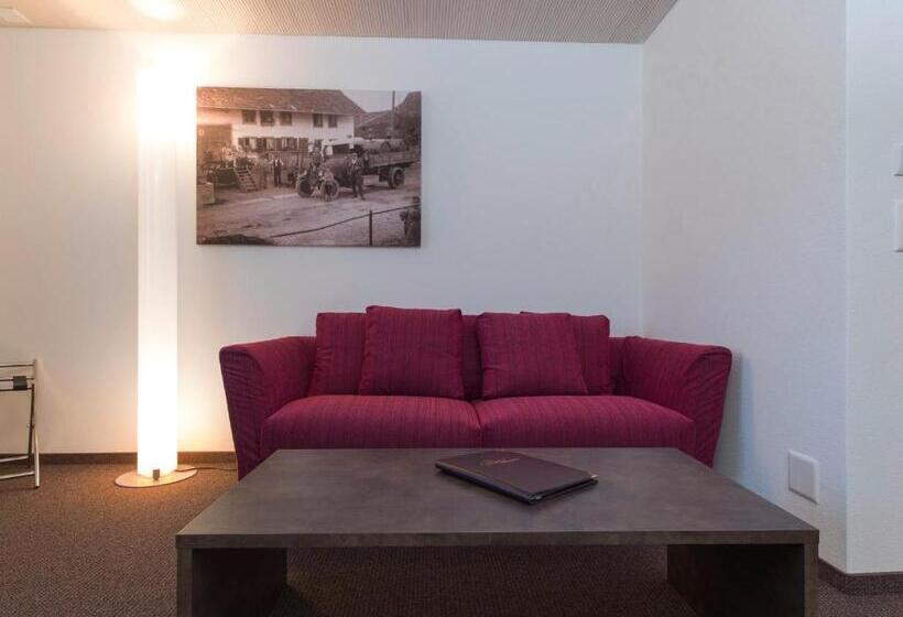 בית מלון כפרי Gasthaus Sternen