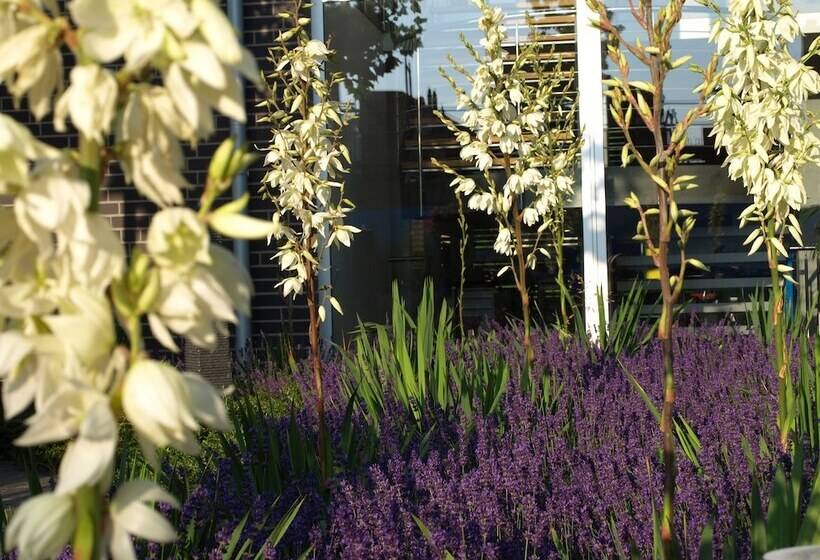 בית מלון כפרי Q.c.m. Campus