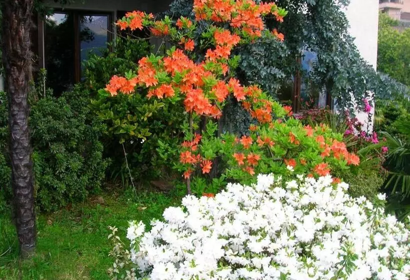Hotelli Residence Venus Garden