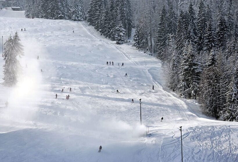 בית מלון כפרי Rischli