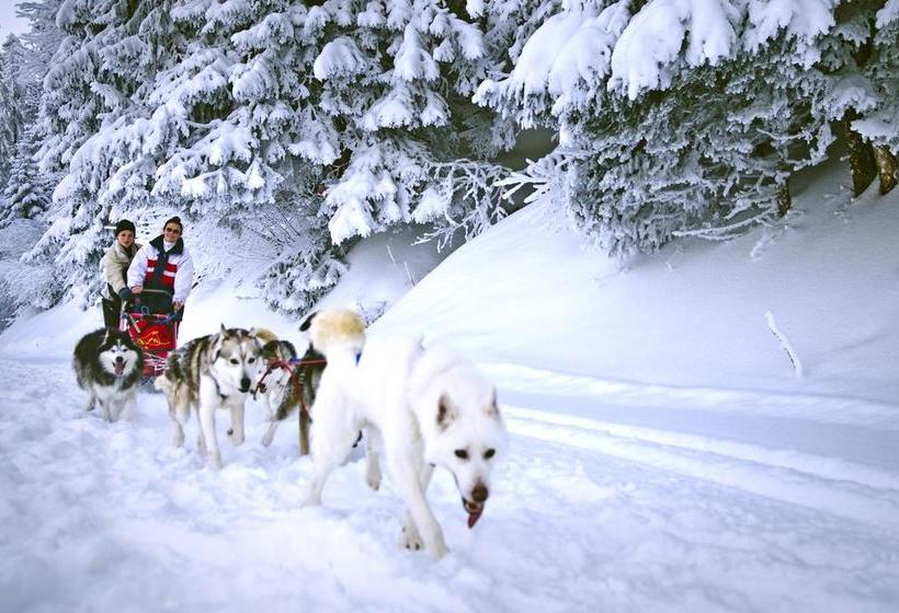 בית מלון כפרי Whitepod Original