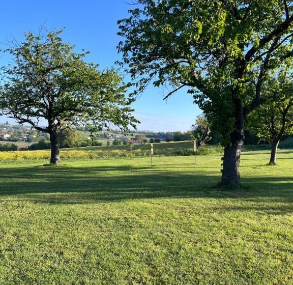 膳宿费 Les Petites Bulles De Massier