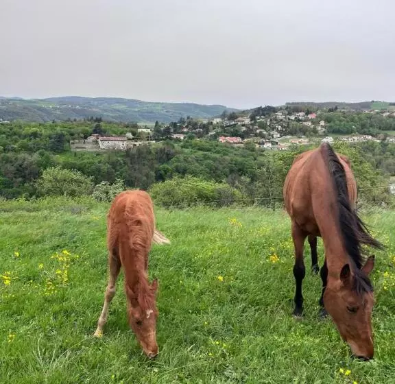 Majatalo Les Petites Bulles De Massier