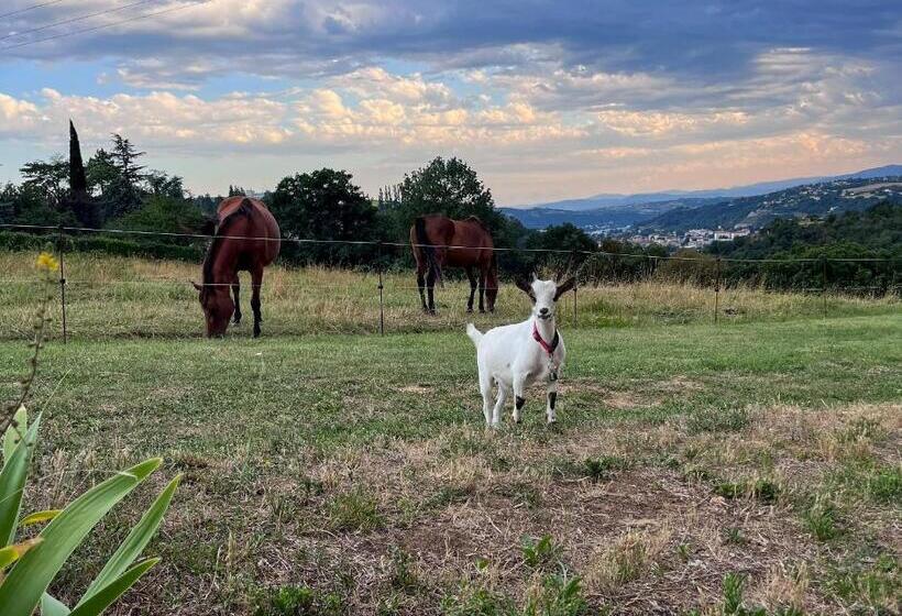 膳宿费 Les Petites Bulles De Massier