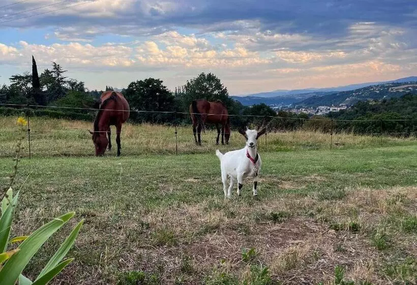 Majatalo Les Petites Bulles De Massier