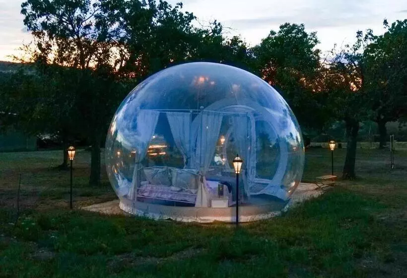 Majatalo Les Petites Bulles De Massier