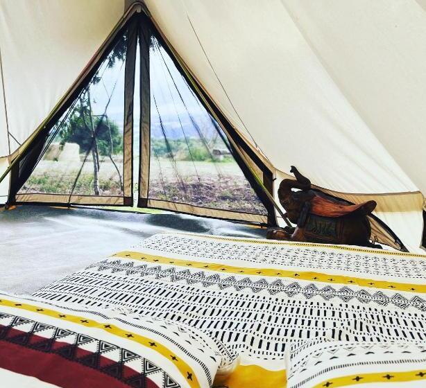 膳宿费 Les Petites Bulles De Massier