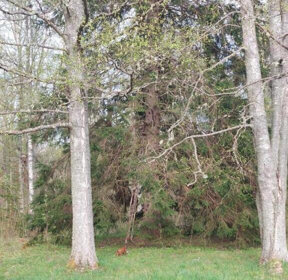 הוסטל Skagagården, Mossen