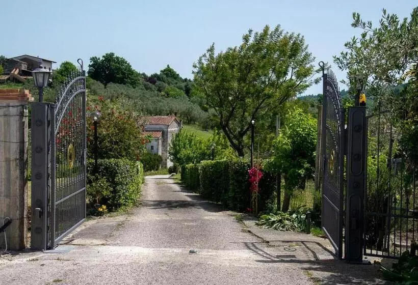 Aamiaismajoitus (B&B) Sentiero Degli Ulivi Mascia